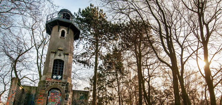 Odnowią wieżę widokową? Nowe inwestycje w Parku Modrzewie