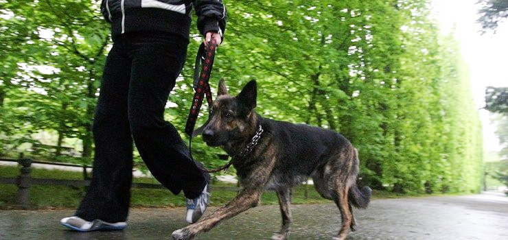 Kolejny incydent w miejskim parku. Wyciągnęła gaz pieprzowy i zaatakowała nim psa (aktualizacja)