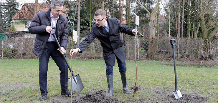 Sadzili drzewa, bo „Polacy mają świadomość, że to ważna część naszego otoczenia”