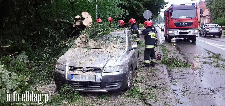 czycka: Drzewo spado na zaparkowane samochody