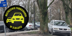Mistrzowie Parkowania w Elblgu (cz 322)