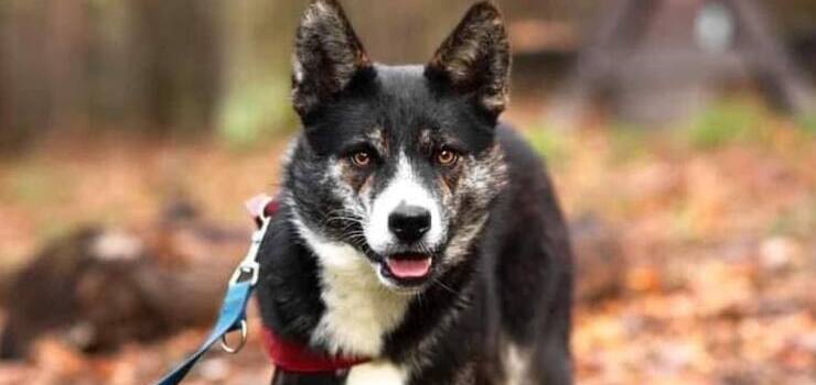 Topik - niech odnajdzie w końcu spokój i zrozumienie
