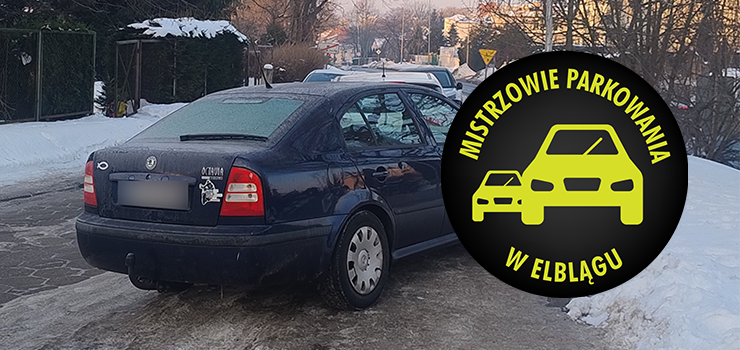 Mistrzowie Parkowania w Elblągu (część 446)