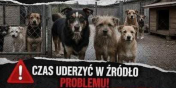 Nie rozmnażaj, nie mnóż nieszczęść! Kastracja i chipowanie – TERAZ! Nie rozmnażaj, nie mnóż nieszczęść! Kastracja i chipowanie – TERAZ!