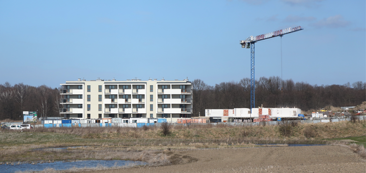 Modrzewina się rozbudowuje. Te bloki to dopiero początek, co dalej?