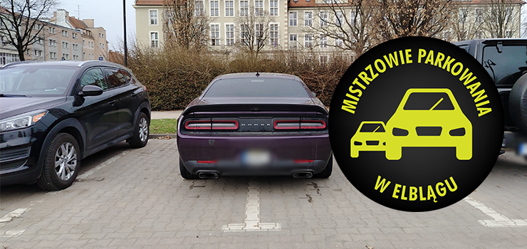 Mistrzowie Parkowania w Elblągu (część 461)