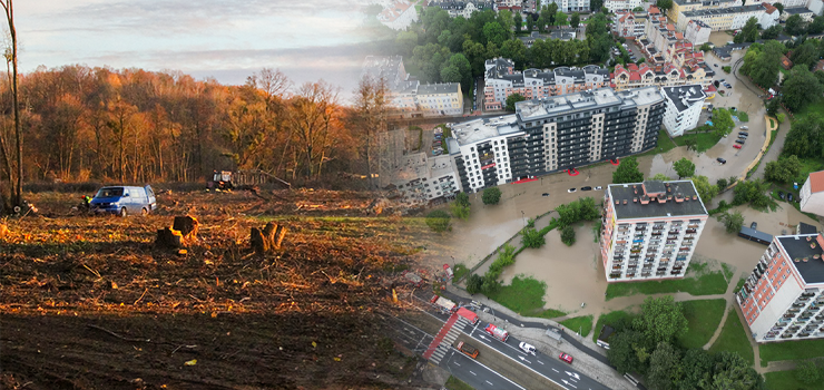 Elbląg już kilka razy był pod wodą, zbiornika wciąż nie ma. Co z przetargiem?