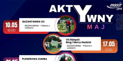Artykuł