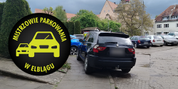 Artykuł