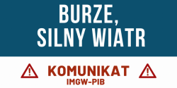 Artykuł