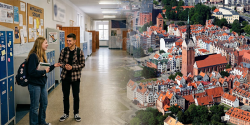 Artykuł