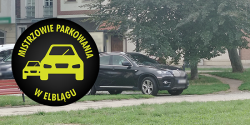 Artykuł