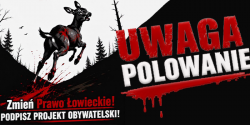 Artykuł