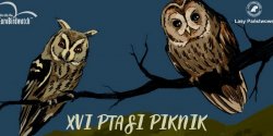 Artykuł
