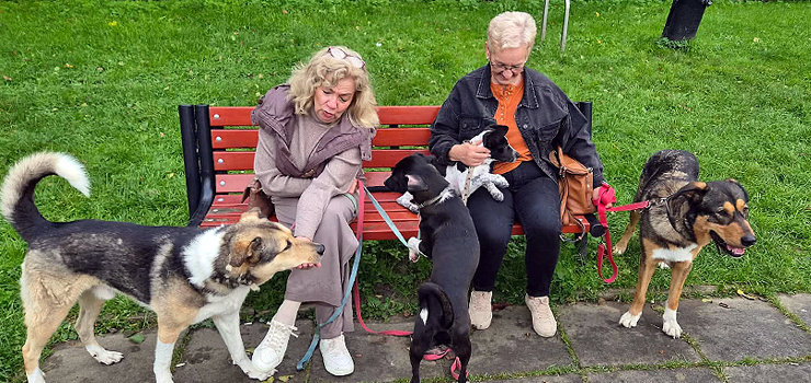 Za nami Bieg na 6 łap - zobacz zdjęcia