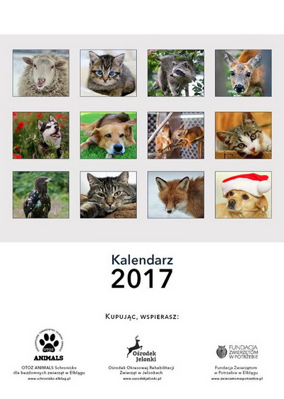 Ju jest! Zachcamy do zakupu piknego charytatywnego kalendarza na 2017 rok!