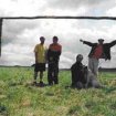 Kino Fala - 