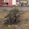 Plac przy Obo�nej w centrum miasta wygl�da jak wysypisko �mieci