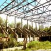 (Nie)dawne pomniki elbl�skiej �wietno�ci