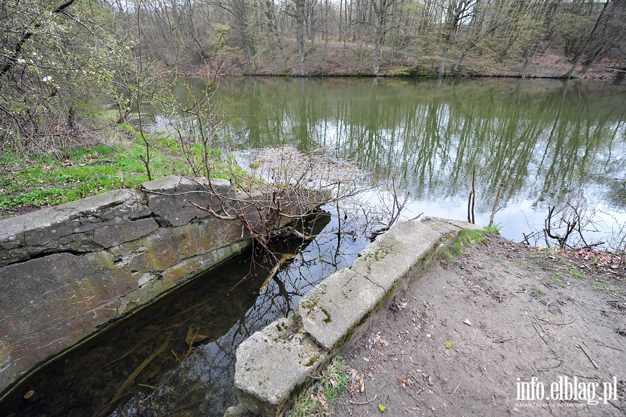 Zbiornik wodny przy ul. Dbrowskiego, fot. 12