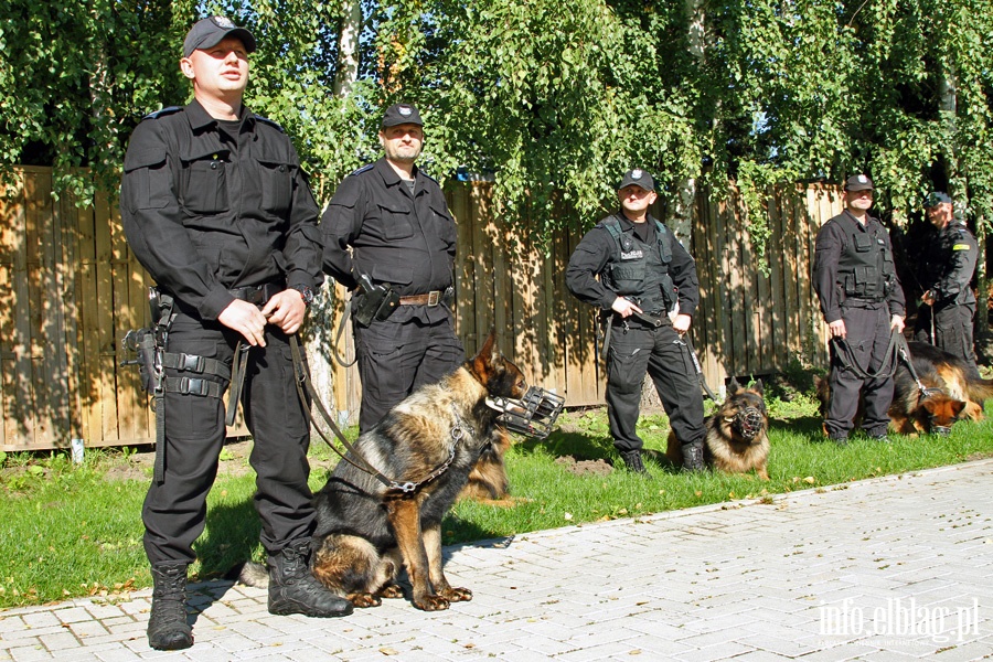 Atestacja policyjnych psw subowych, fot. 4
