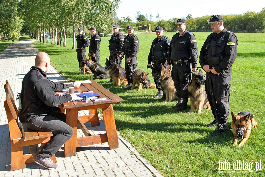 Atestacja policyjnych psw subowych, fot. 13