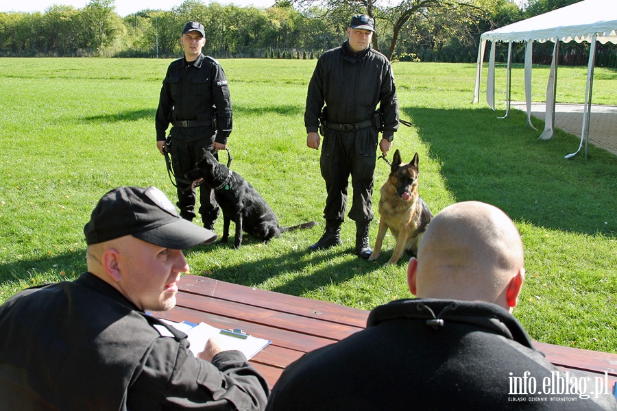 Atestacja policyjnych psw subowych, fot. 15