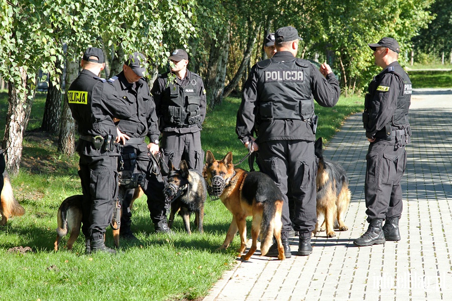 Atestacja policyjnych psw subowych, fot. 16