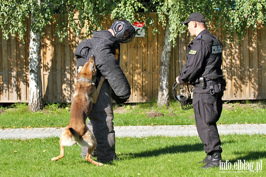 Atestacja policyjnych psw subowych, fot. 38