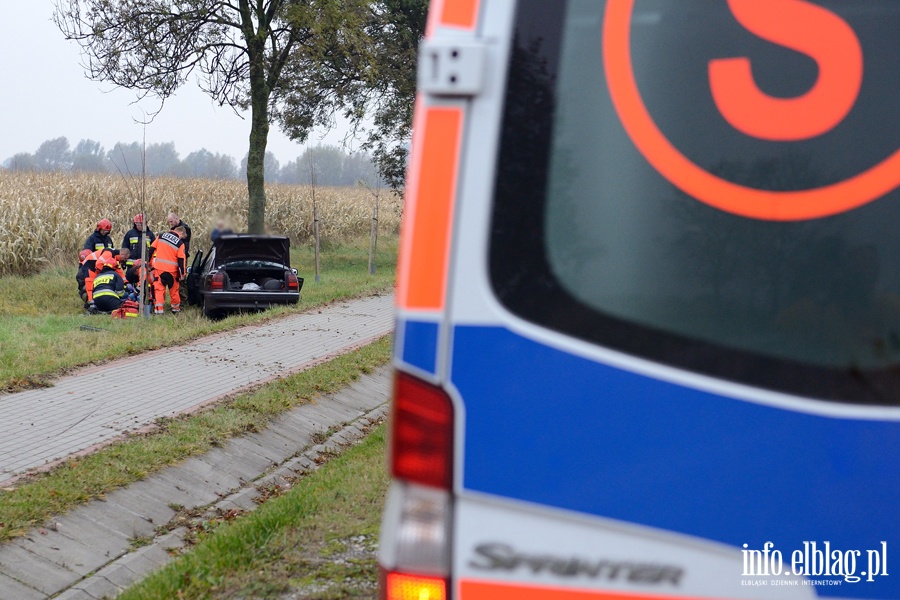 Wypadek w Kazimierzowie. Ranny kierowca przewieziony do szpitala po uderzeniu autem w drzewo, fot. 2