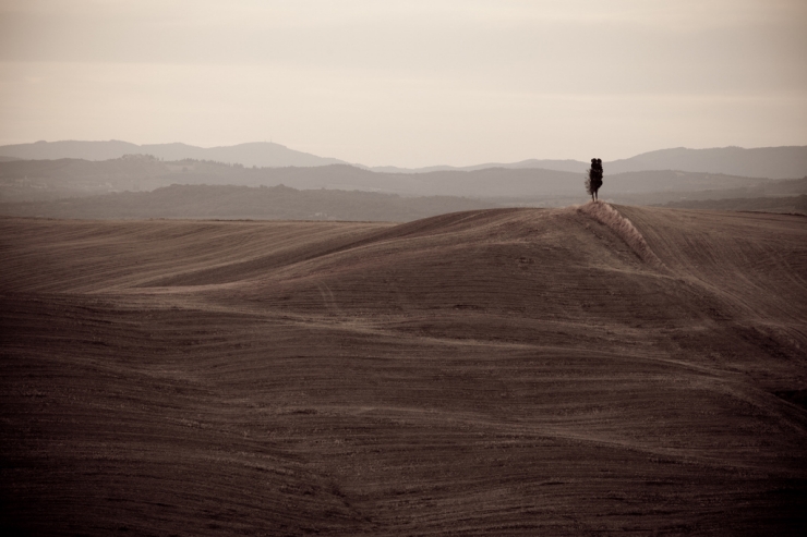 La Bella Toscana w fotografii Miosza Kulawiaka