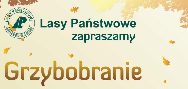 Grzybobranie z lenikami