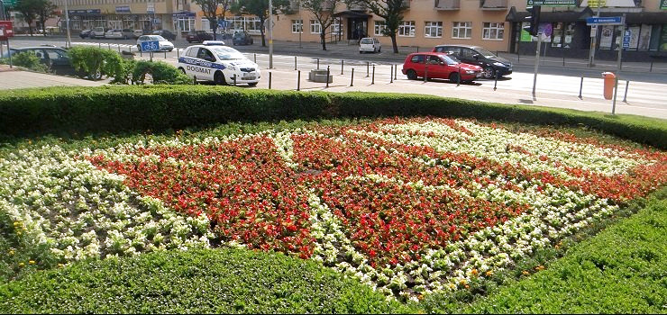 Elblg malowany kwietnymi obrazami