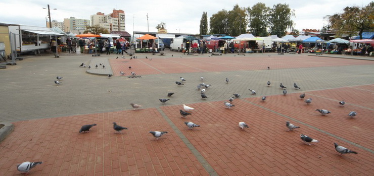  W przyszym tygodniu parking przy Targowisku Miejskim powinien zosta oddany do uytku