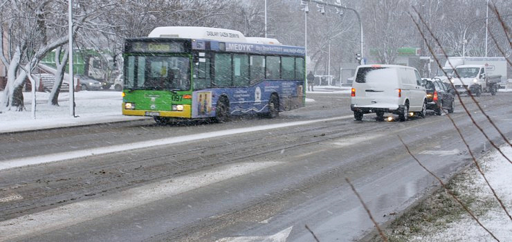 Policja apeluje o ostrono na drodze