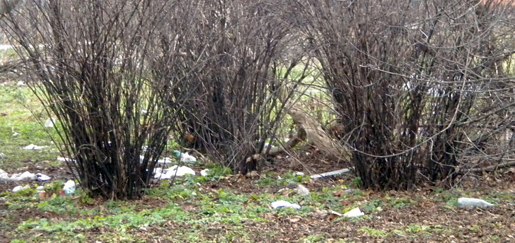 Po raz pierwszy przyjechała do Elbląga. Na pamiątkę sfotografowała "wysypisko śmieci w centrum miasta" (aktualizacja)