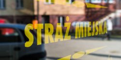 Raz jeszcze o stray miejskiej. Likwidowa czy reorganizowa?