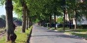 Na Moniuszki wytn dziesitki drzew by zbudowa chodnik do Centrum Rekreacji Wodnych
