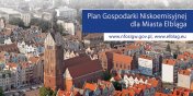 Miasto Elblg opracowuje strategiczny dokument: „Plan gospodarki niskoemisyjnej dla miasta Elblga”