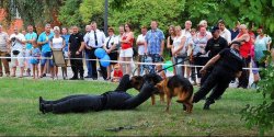 Elblscy policjanci zapraszaj mieszkacw na festyn