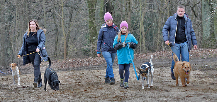 Propagowali aktywność fizyczną i... adopcję bezdomnych zwierząt - zobacz zdjęcia z Biegu na Sześć Łap