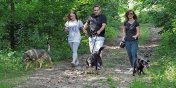 Bieg na Sze ap w Midzynarodowy Dzie Psa - zobacz zdjcia