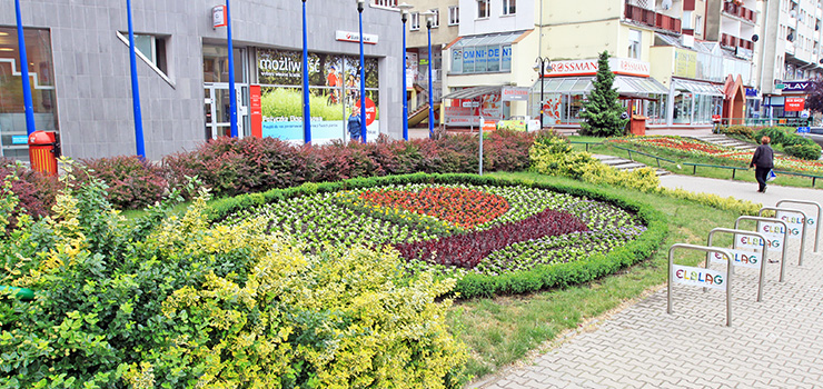 Elblskie dekoracje kwiatowe s jednymi z pikniejszych w Polsce