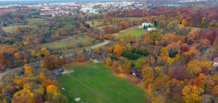 Miejskie lasy znajdą się pod ochroną? To może oznaczać koniec marzeń o obwodnicy wschodniej
