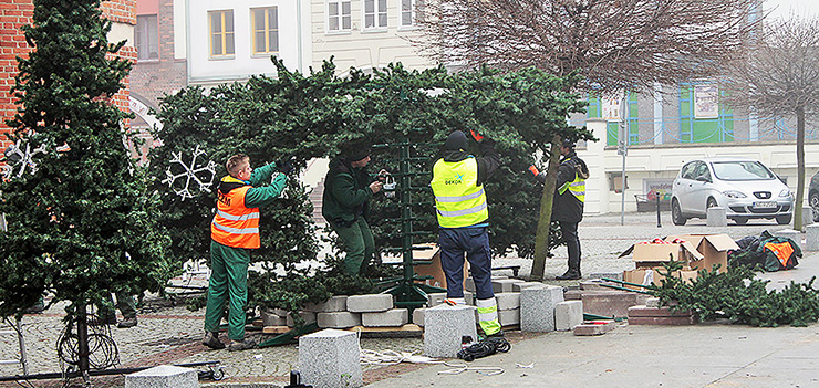 Na Starówce stanęło bożonarodzeniowe drzewko. Elbląska choinka ma 10 metrów