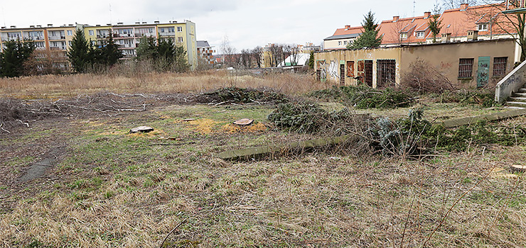 Na terenie dawnego ogrodnictwa przy Robotniczej wycięto drzewa. Czy to początek nowej inwestycji?