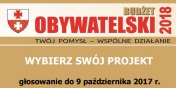 Budet Obywatelski - rusza gosowanie