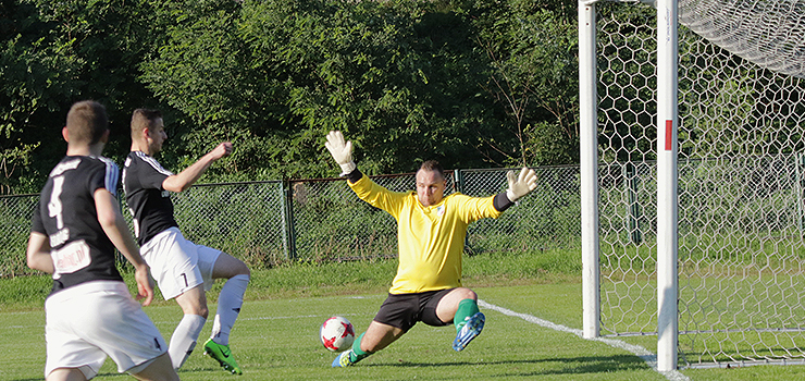 Concordia nadal niepokonana u siebie. Słonie pokonały MKS Korsze
