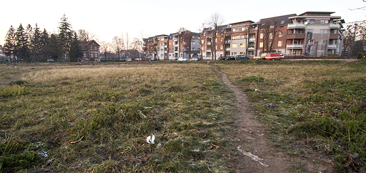 Co z budową Lidla przy ul. Reja? Sprawdziliśmy
