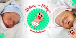 Witamy w Elblgu: Nadi, Wojciecha, Alana i Filipa